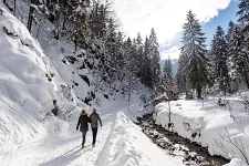winterspaziergangnebengebirgsbachgerdlfranz.jpg